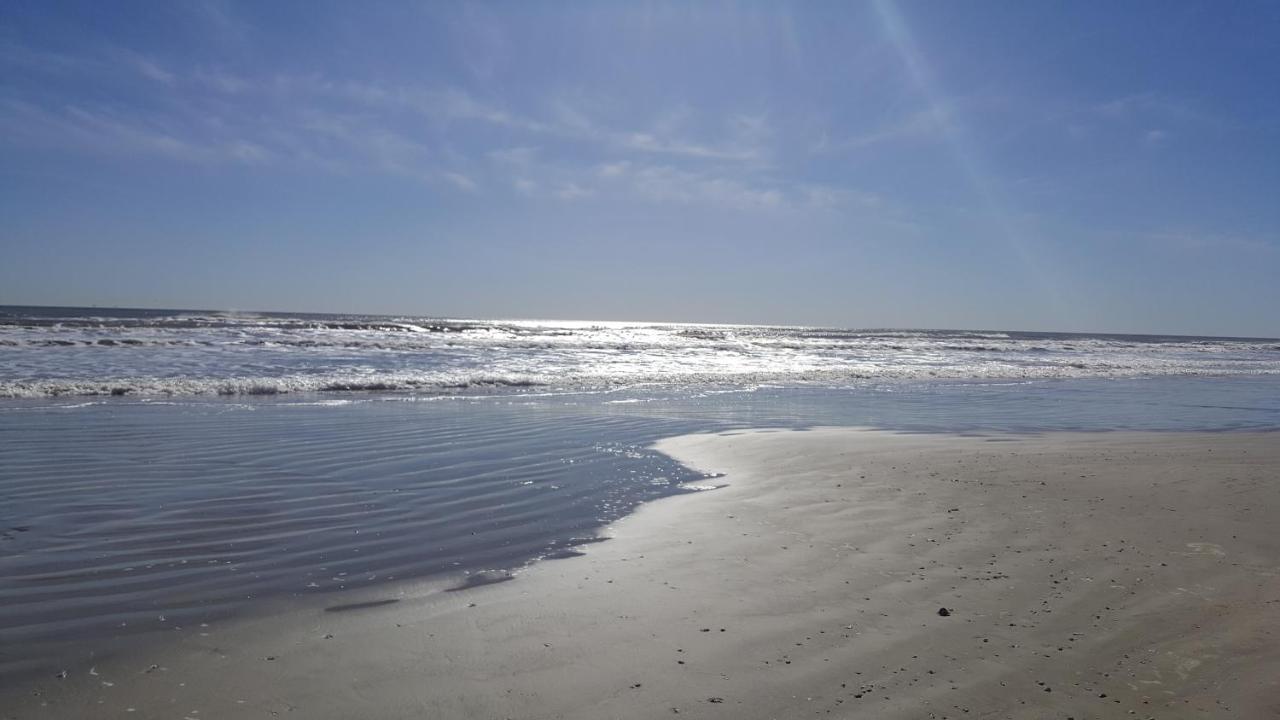 Coastal Serenity Retreat: Private Beach Getaway with Ocean Views Galveston Exterior photo